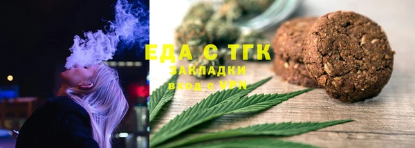 хмурый Аркадак