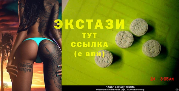 хмурый Аркадак