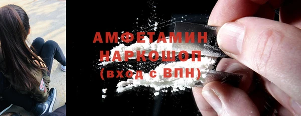 хмурый Аркадак
