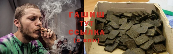 хмурый Аркадак