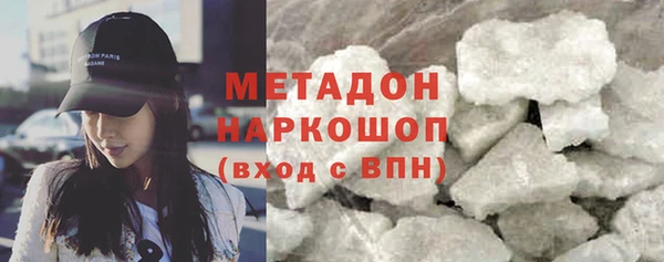 хмурый Аркадак