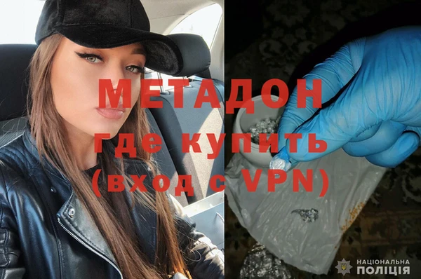 хмурый Аркадак