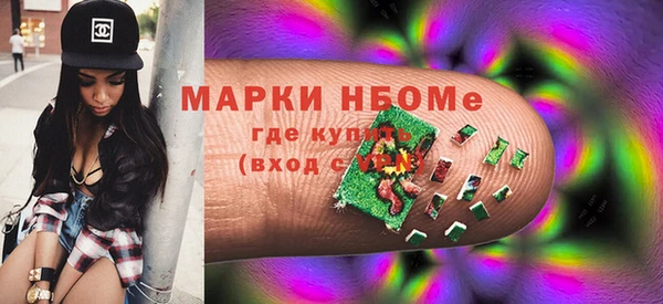 хмурый Аркадак