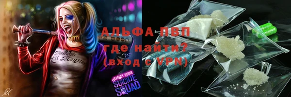 хмурый Аркадак