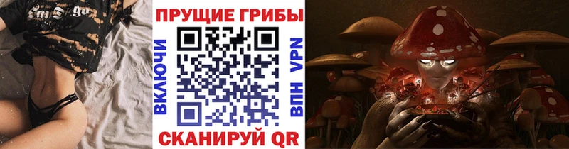 Псилоцибиновые грибы Cubensis  Зверево 